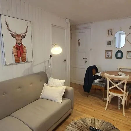 Apartamento Con Encanto Tipico Cereta Centro Puigcerdà Exterior foto